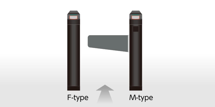 F-typeとM-typeの組み合わせ