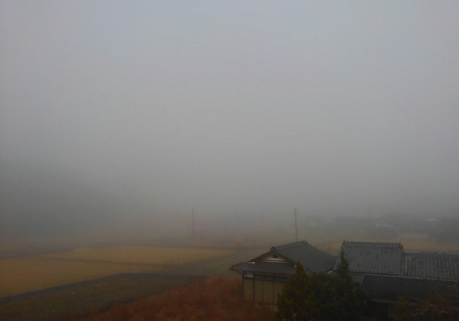 濃い霧がかかった風景