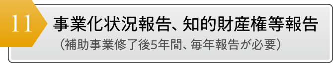 事業化状況報告、知的財産権等報告 （補助事業修了後5年間、毎年報告が必要